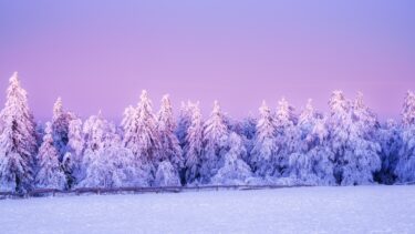 通信大学生の体験談と勉強時間公開【3ヶ月目】